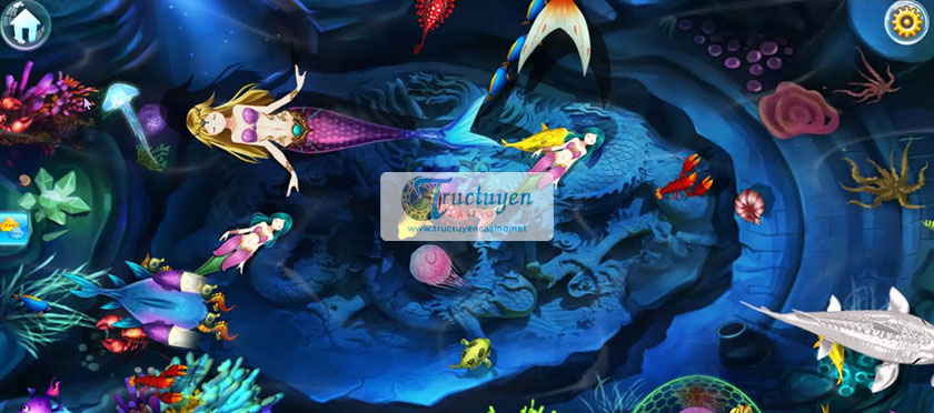 Recreational Fish Shooting