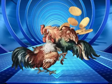 Chiến thuật chọi gà Thomo hiệu quả: Bí quyết từ cao thủ gà đá 2025