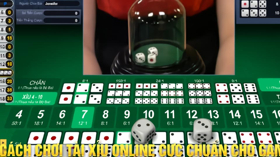chơi tài xỉu